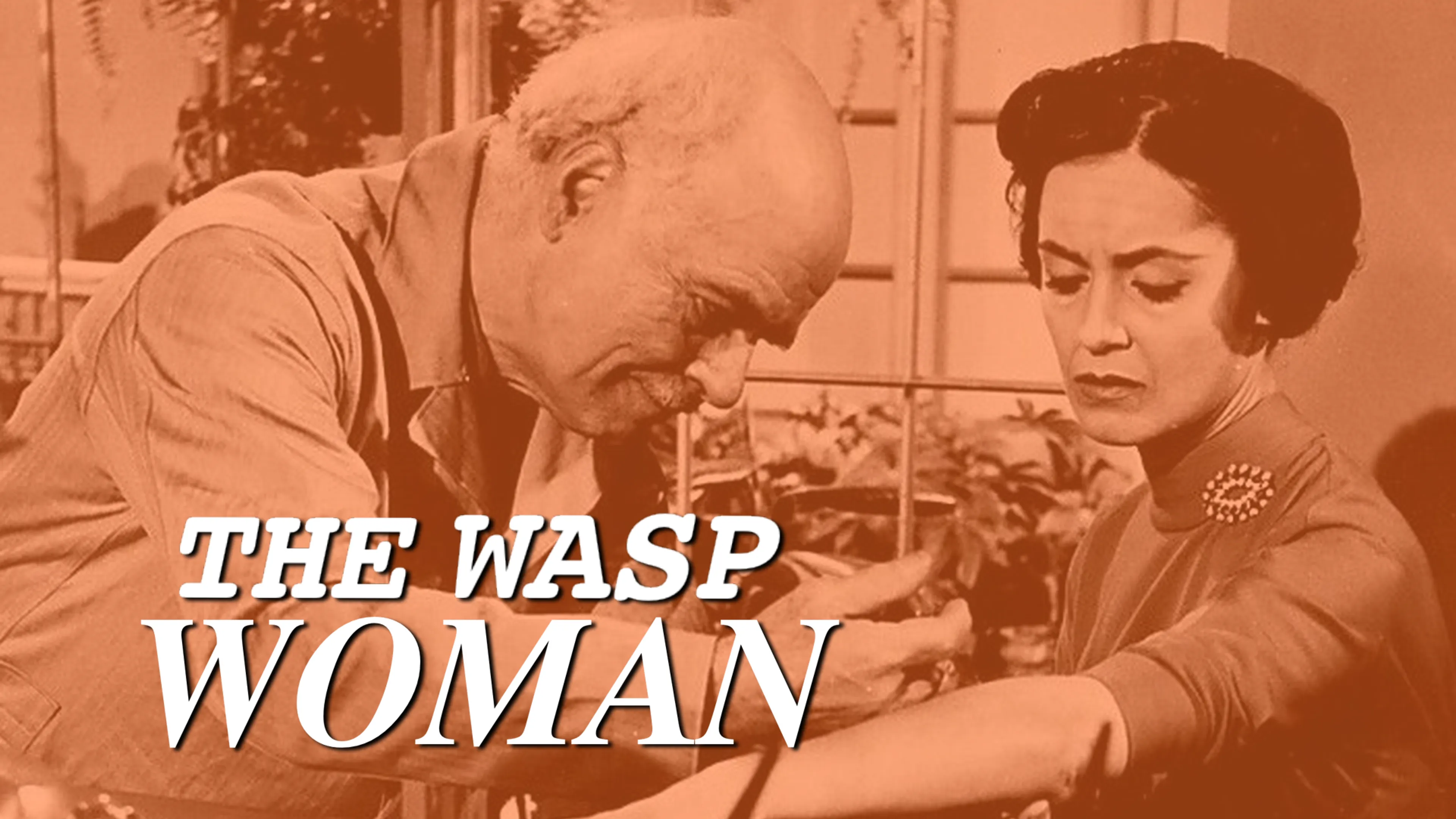 The Wasp Woman poster
